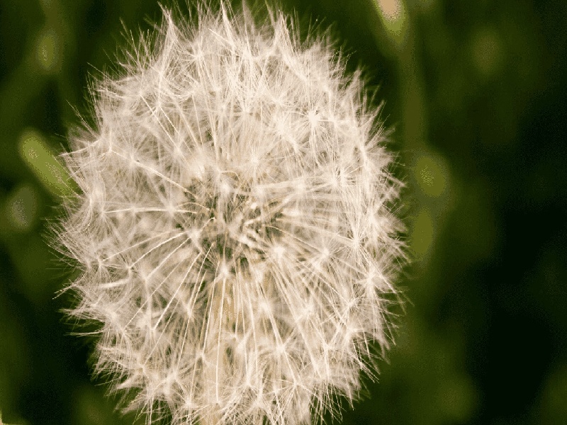 太原代怀最好医院,泰国试管价格高吗？-太原有没有供卵机构_太原供卵试管医院