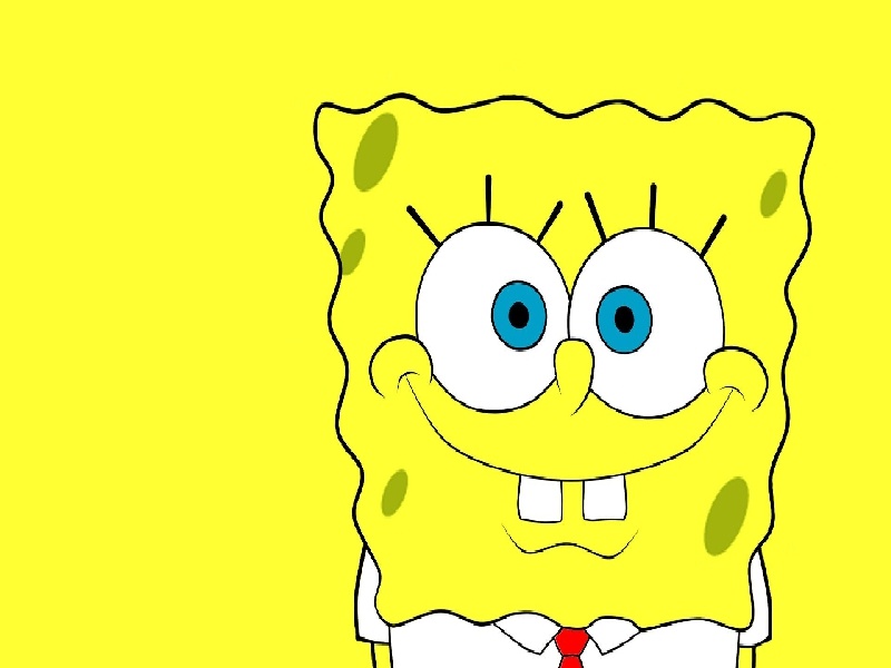 太原哪可以代怀,太原试管妈妈的艰辛（中国首例试管绵羊）